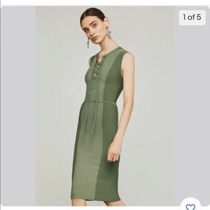 Bcbgmaxazria knit bodycon dress earth green com